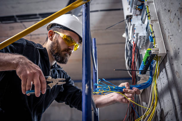 Best Generator Installation Services  in Las Palmas Ii, TX